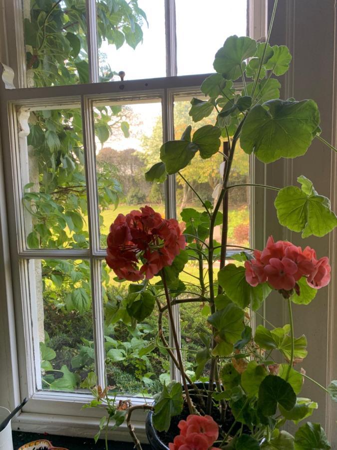 Dalton House Bed And Breakfast Esterno foto